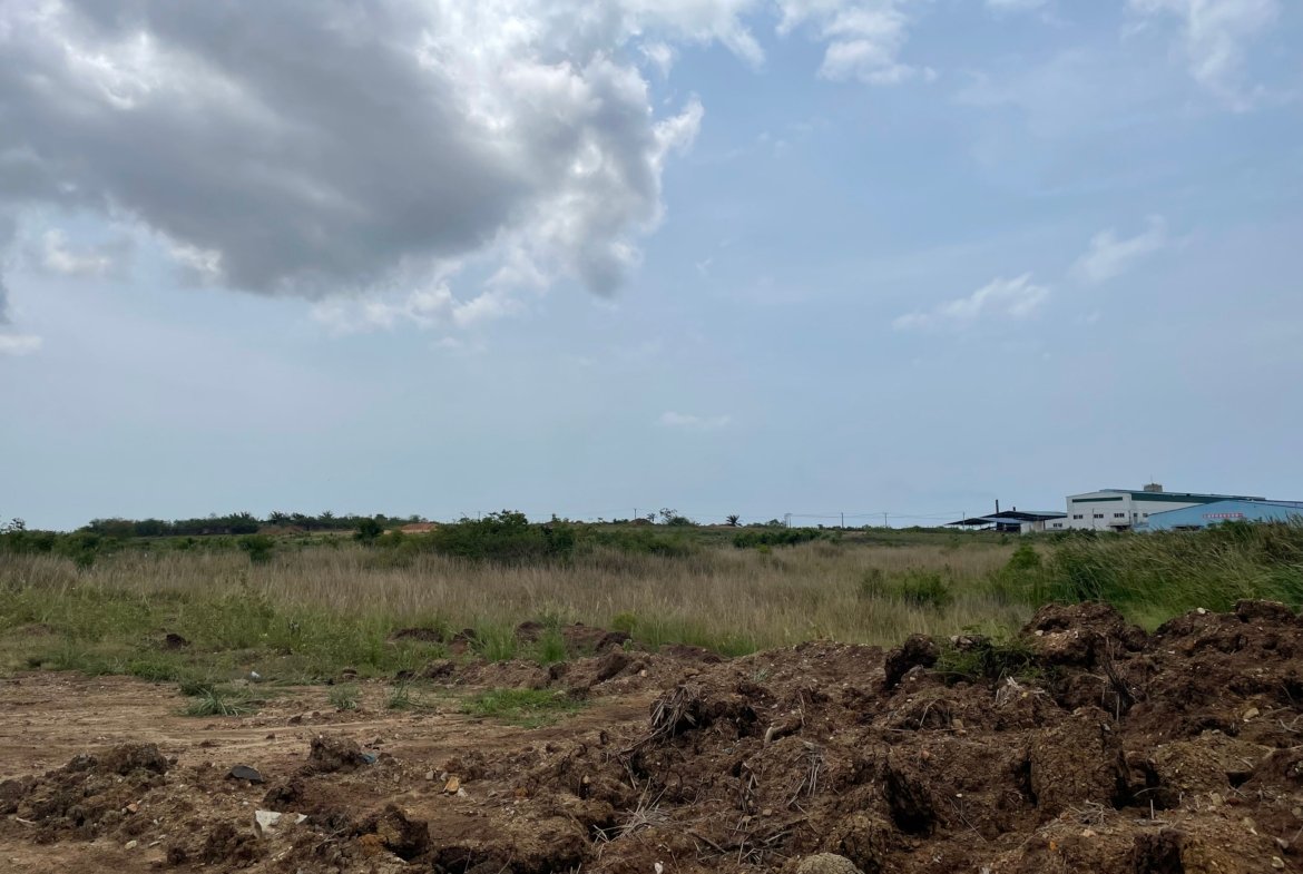 Prime Roadside Land