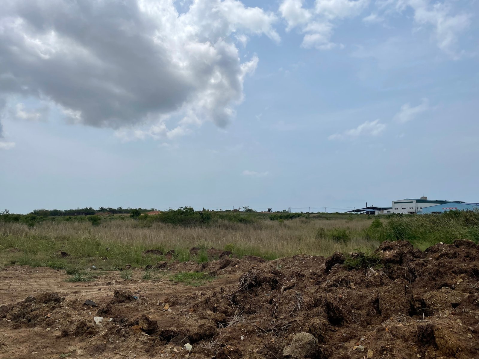 Prime Roadside Land