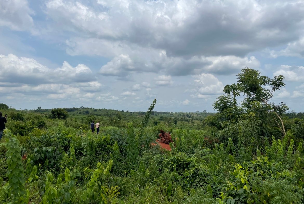 Farm Land