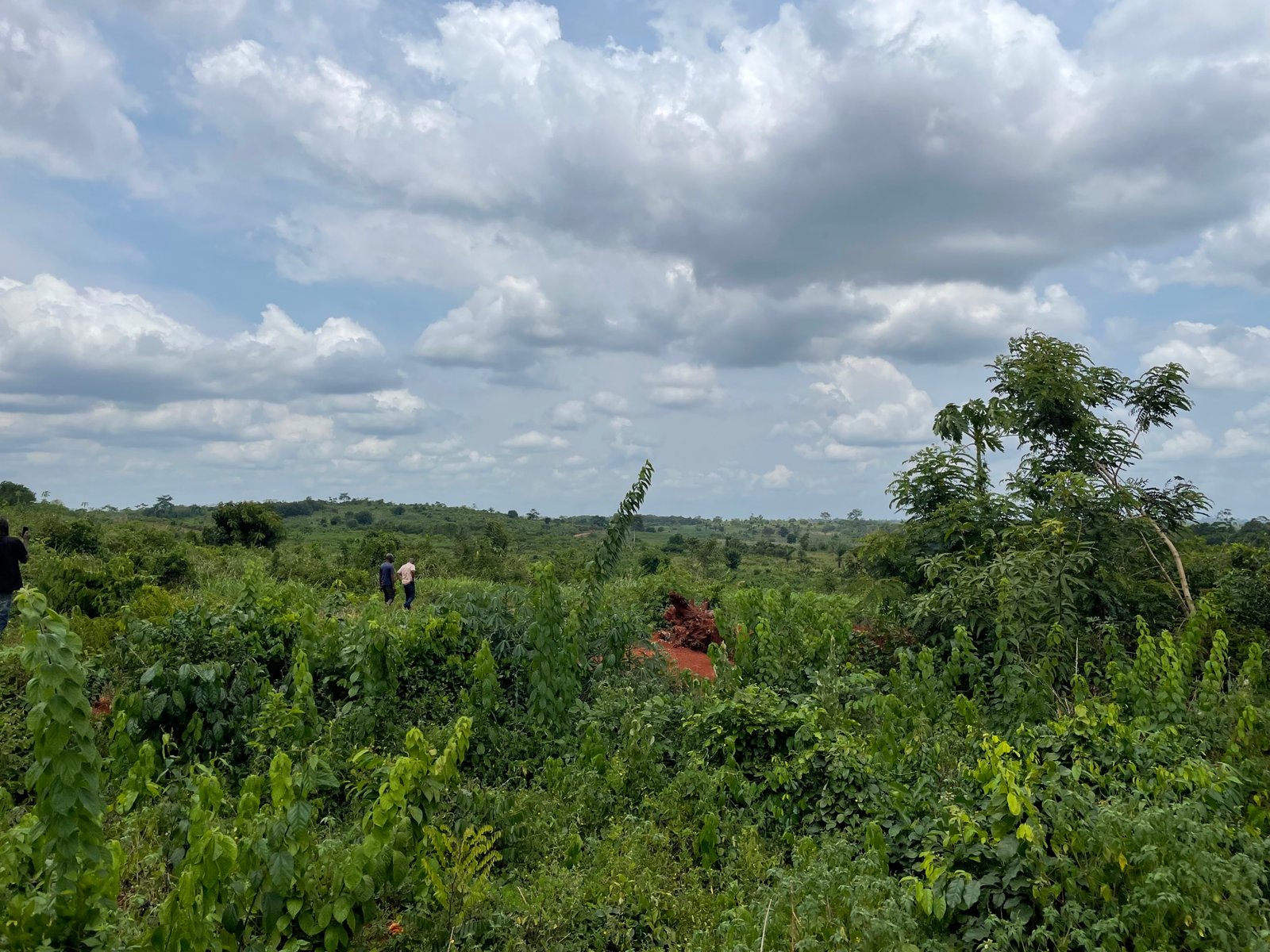 Farm Land