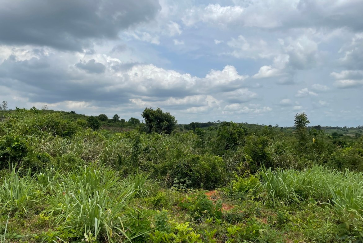 Farm Land