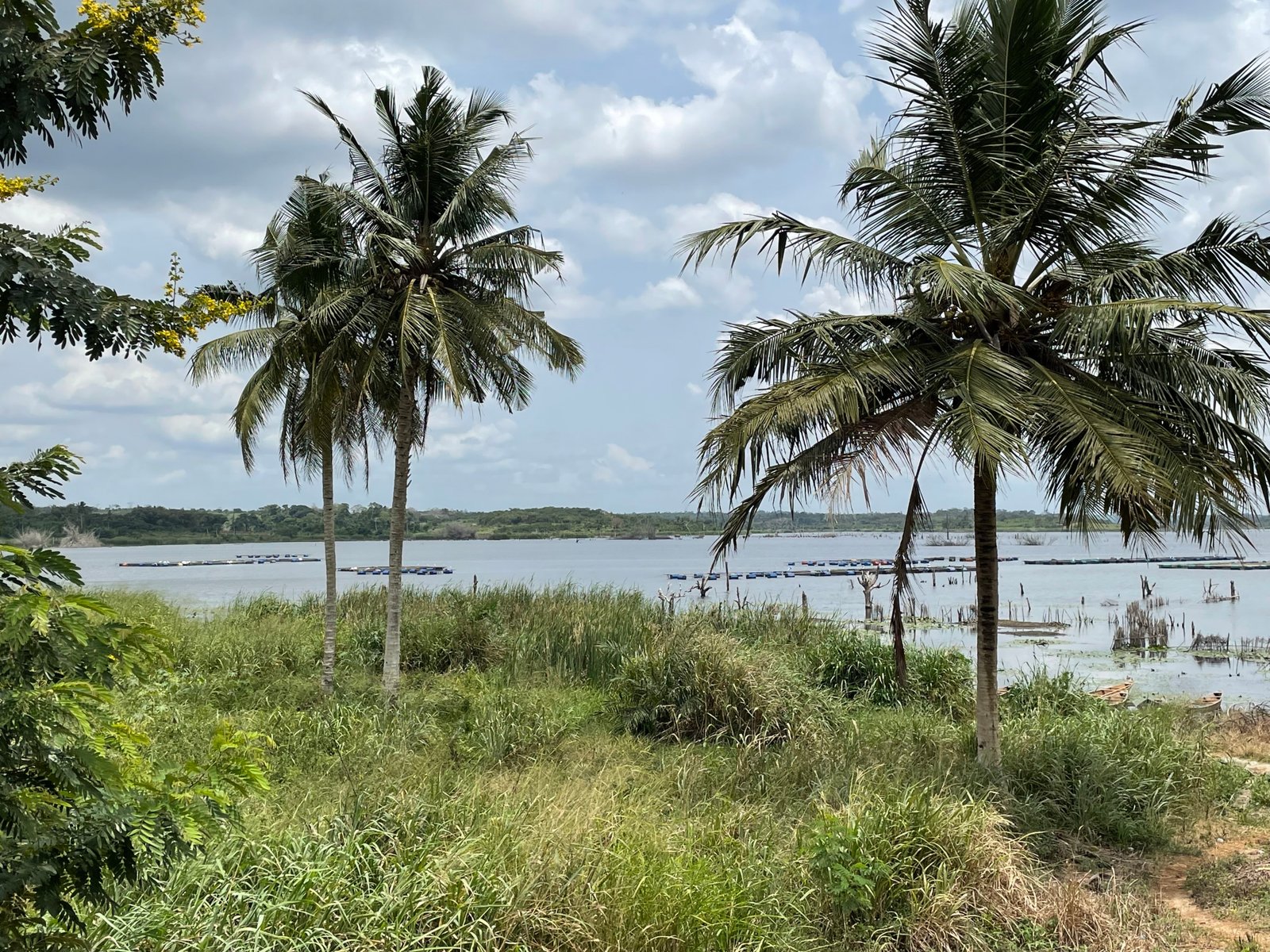 Farm Land