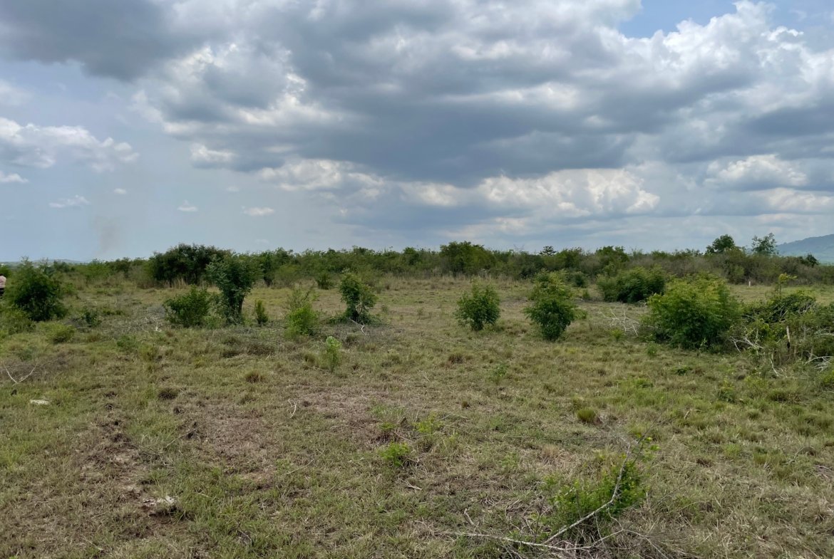 Prime Roadside Land