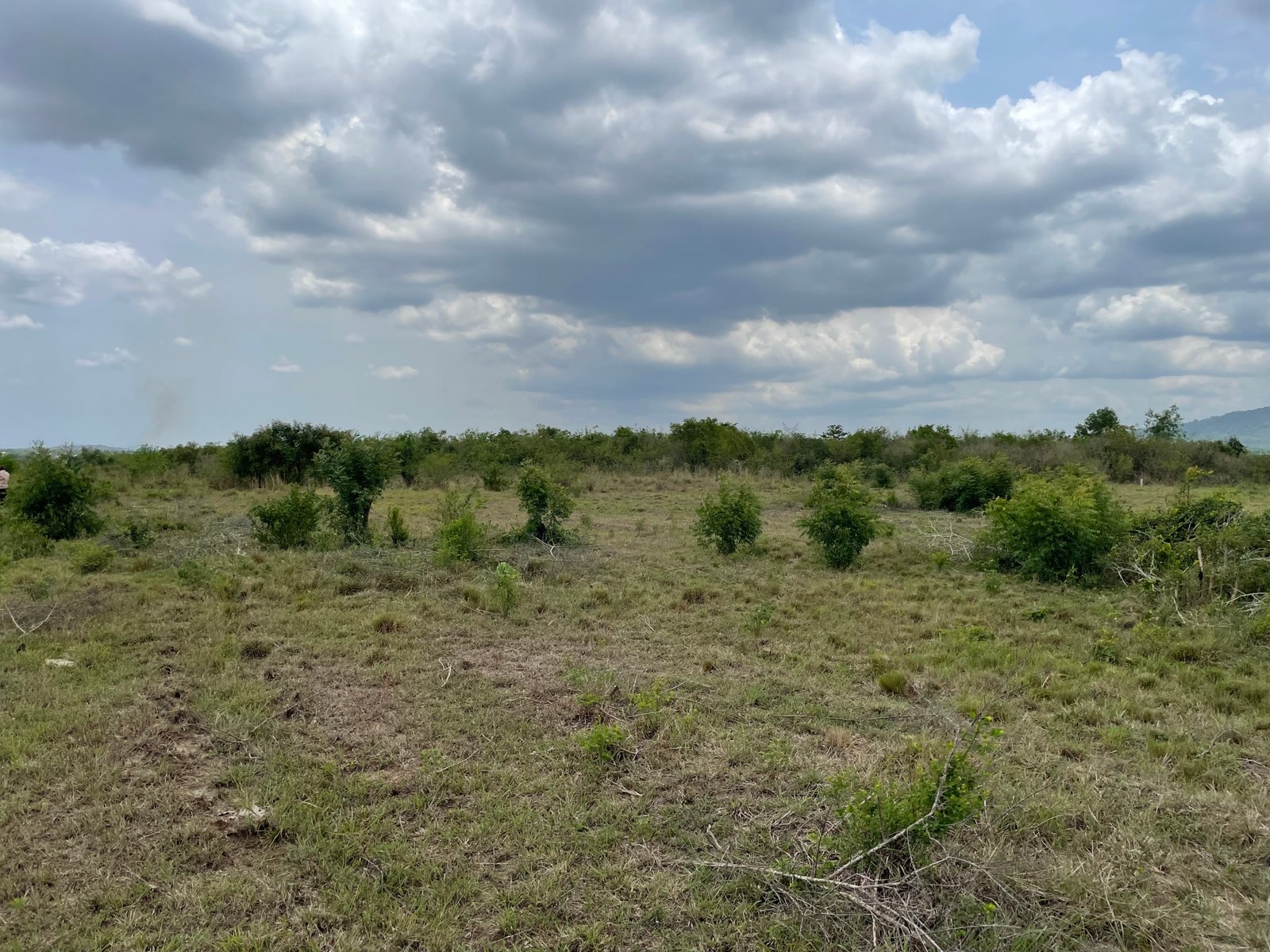 Prime Roadside Land